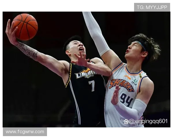 辽宁CBA球队最新球员名单及阵容深度解析 辽宁CBA球队最新球员名单及阵容深度解析