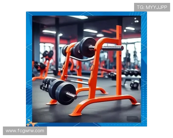 臀部塑形专用健身器材推荐及训练方法