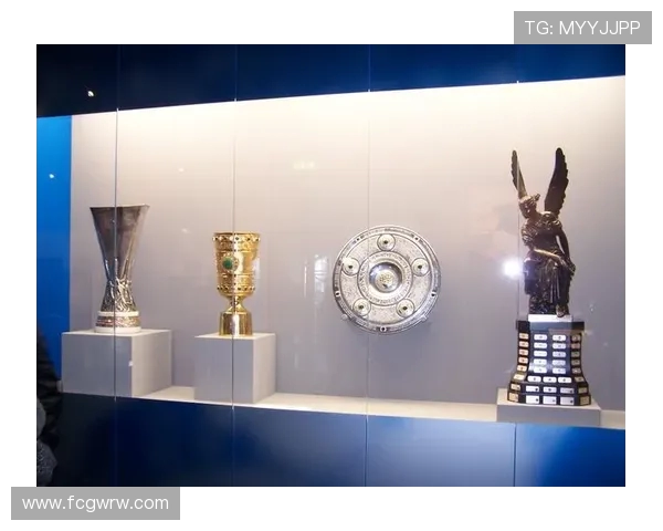 德甲“土豪”俱乐部名单及资金背景一览